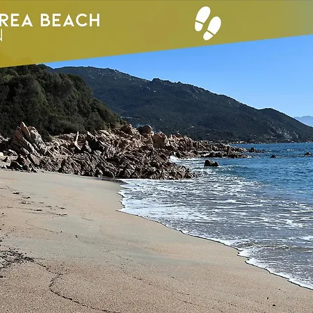 Les Sanguinaires N'16 - T2 Vue Mer, Piscine, Apartment *