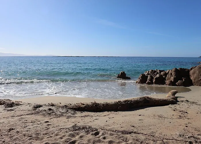 Apartment Les Sanguinaires N'16 - T2 Vue Mer, Piscine, Ajaccio (Corsica)