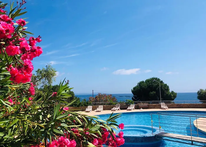 Les Sanguinaires N'16 - T2 Vue Mer, Piscine, * Ajaccio (Corsica)